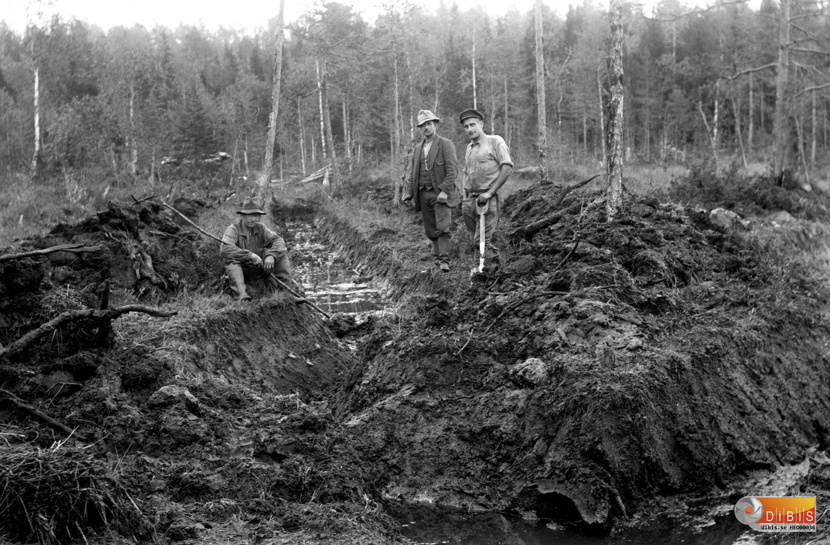 Utdikning av myrmark.Mannen till höger med wegamössa är Emils bror Karl ...