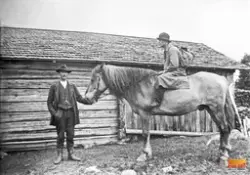 Bröderna Helmer Andersson och Viktor Andersson Gällsjön och 