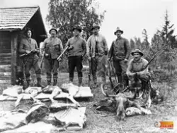 Ett jaktlag samlat efter en lyckad jaktdag och älgen är slak