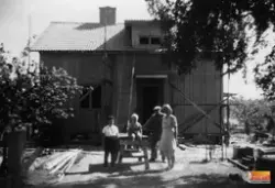 Leimers i Hammaren, Kilafors. Sensommaren 1953.