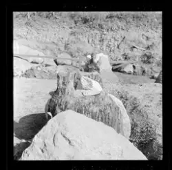 Utgravningene i Borgund 1960