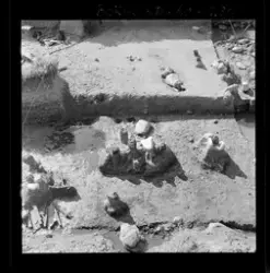 Utgravningene i Borgund 1960