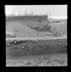 Utgravningene i Borgund 1960