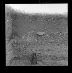 Utgravningene i Borgund 1960