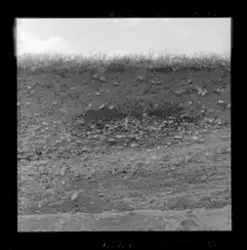 Utgravningene i Borgund 1960