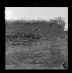 Utgravningene i Borgund 1960