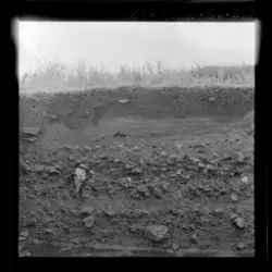 Utgravningene i Borgund 1960