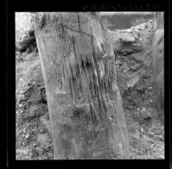 Utgravningene i Borgund 1960