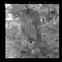 Utgravningene i Borgund 1960