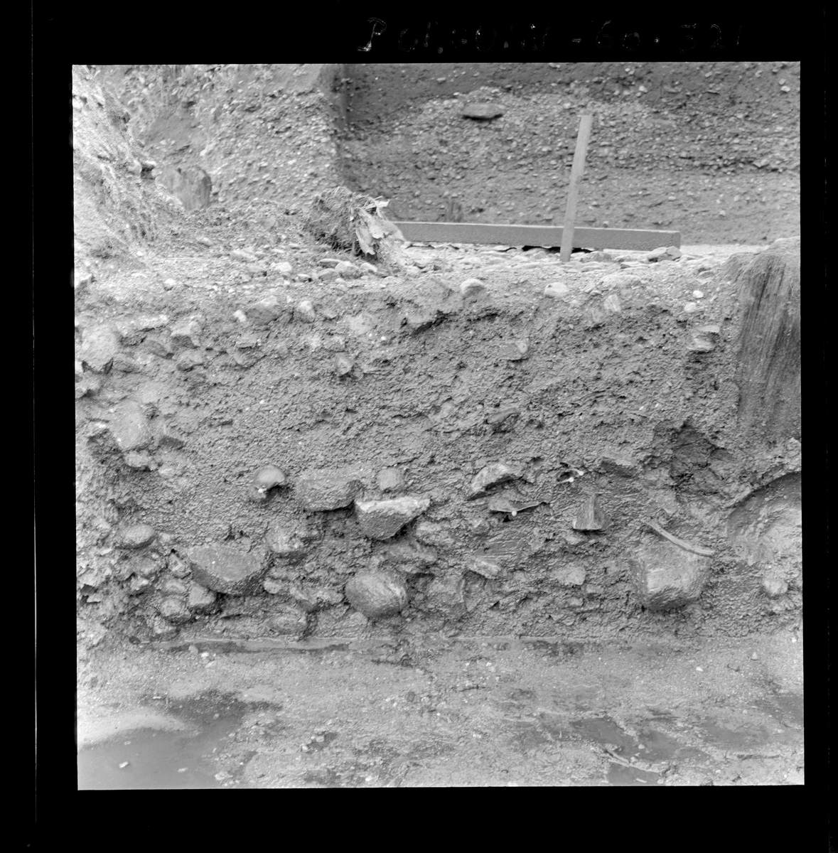 Ø8 - Sør/vest-profil, 168y/49x-50,60x.