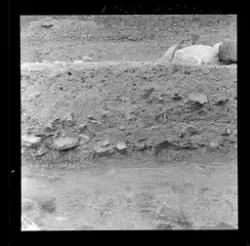 Utgravningene i Borgund 1960