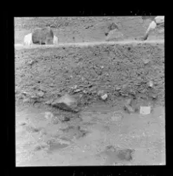 Utgravningene i Borgund 1960