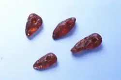 Arkeologisk museum, Universitetet i Stavanger - Gjenstand