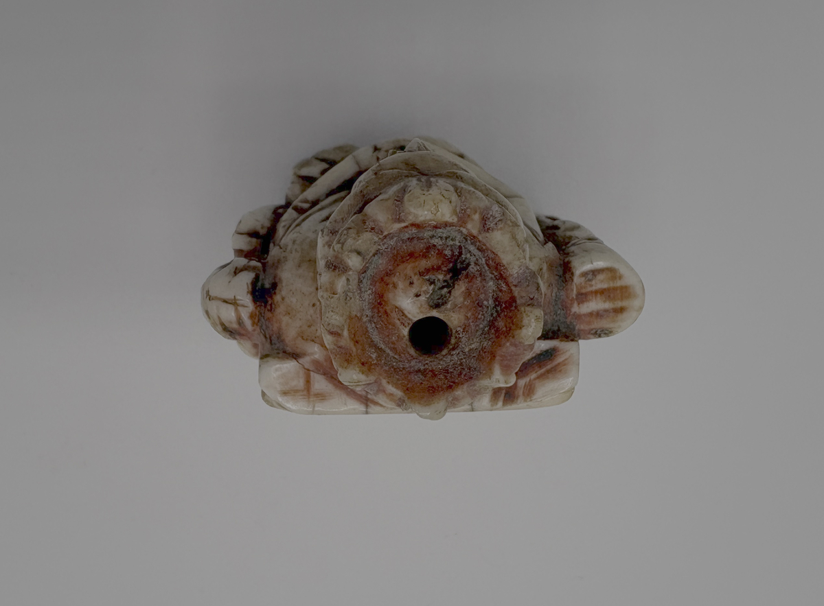 Schackkung av valrosstand med två smärre bilder på sidorna. Krona på huvudet, delvis rödmålad. På baksidan märkt med ett ankare, samt: "1606" och "* N S *". Personen till vänster om kungen är iklädd en lång dräkt och rund mössa, den högra mannen är är barhuvad och bär en knappförsedd dräkt med mantel över. Han håller också en spira eller kort stav i händerna. Pjäsen är genomborrad från kungen hjässa och rakt ner.

Det är osäkert om den röda färgen som man ser spår av är original eller senare ditmålad, men den måste ha påförts före år 1606. Det inristade ankaret kan tyda på att pjäsen vid 1600-talets början ägdes av en sjökapten eller sjöman, men vi saknar kunskap om vem som ursprungligen förde pjäsen till Gotland. Var den en del av ett komplett schackspel eller kom den till ön som ensam souvenir?

Pjäsen bör ha kommit i donatorns (läroverkslektor C J Bergman) ägo mellan åren 1846-1874. 1874 vittnar nämligen Bergmans kollega vid läroverket och blivande museiföreståndaren P A Säve om att den märkliga kungafiguren finns hos Bergman och att han lovat skänka den till det planerade museet. Fram till 1846 hade kungen haft en speciell användning: som handtag i en klocksträng i sessionssalen på Skomakargillets hus i hörnet Ryska gränd och Övre och Nedre Finngränd i Visby. Klocksträngen manövrerade en klocka som var upphängd i taket, varmed åldermannen äskade tystnad vid gillets sammankomster. Gillet höll sina möten i detta hus från år 1592-1846 (då gillet upplöstes), men inskriptionen med årtalet 1606 antyder att det inte kommit i Skomakargillets ägo förrän under 1600-talets första hälft.

Enligt Roosval och af Ugglas är pjäsen sannolikt tillverkad någon gång 1350-1370.