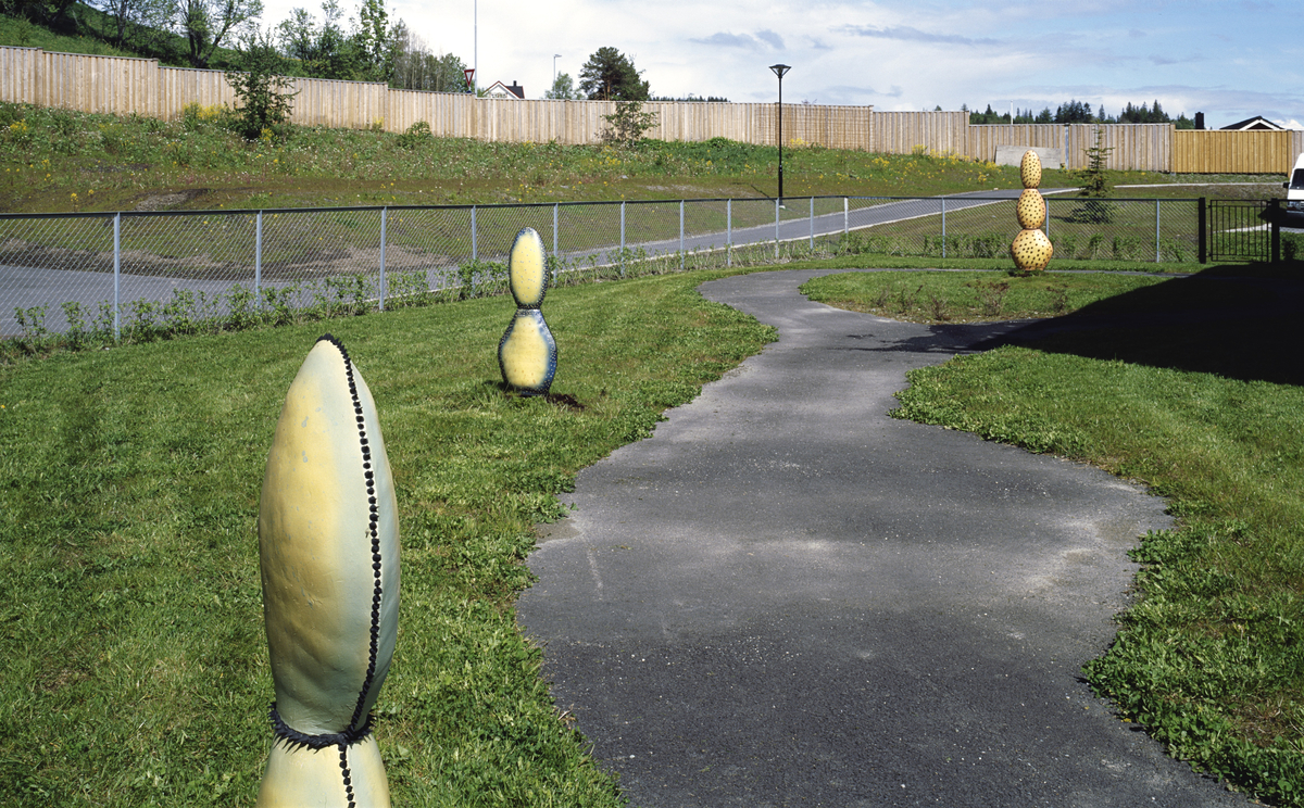 Kaktus i flere størrelser