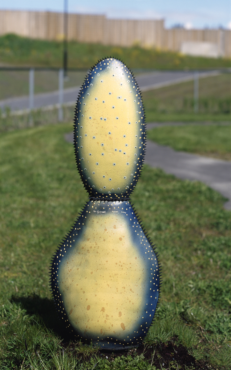 Kaktus i flere størrelser