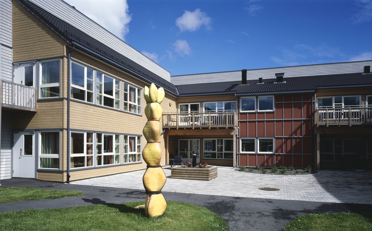 Kaktus i flere størrelser