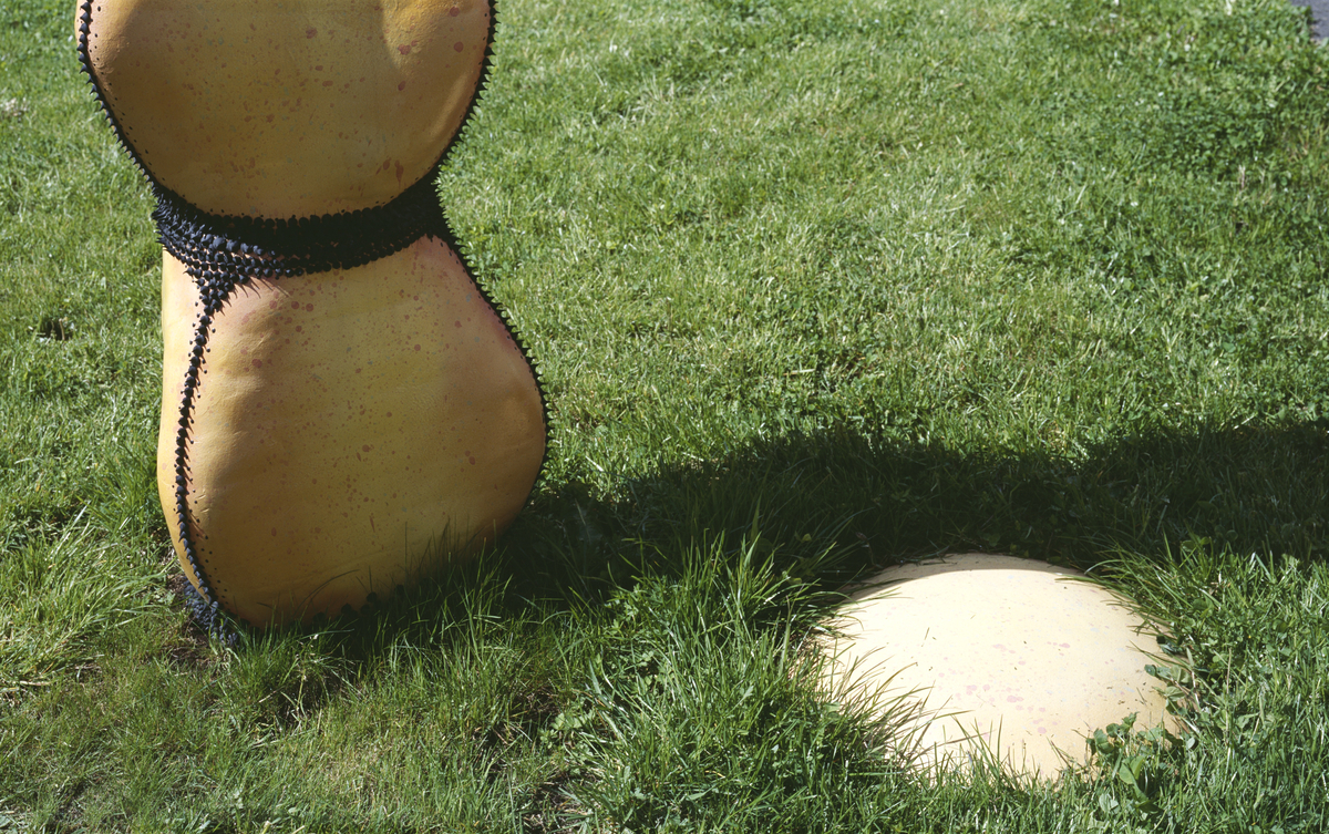 Kaktus i flere størrelser