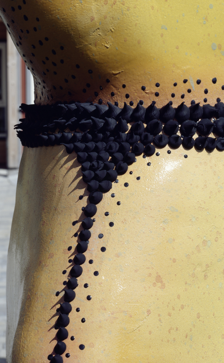 Kaktus i flere størrelser