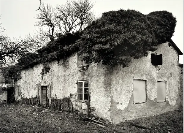 Mangårdsbyggnaden under pågående röjningsarbete.