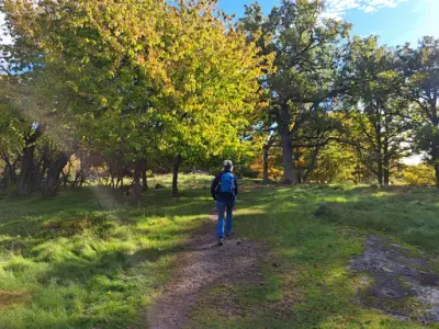 Tinnerö naturreservat - hur blev det till?