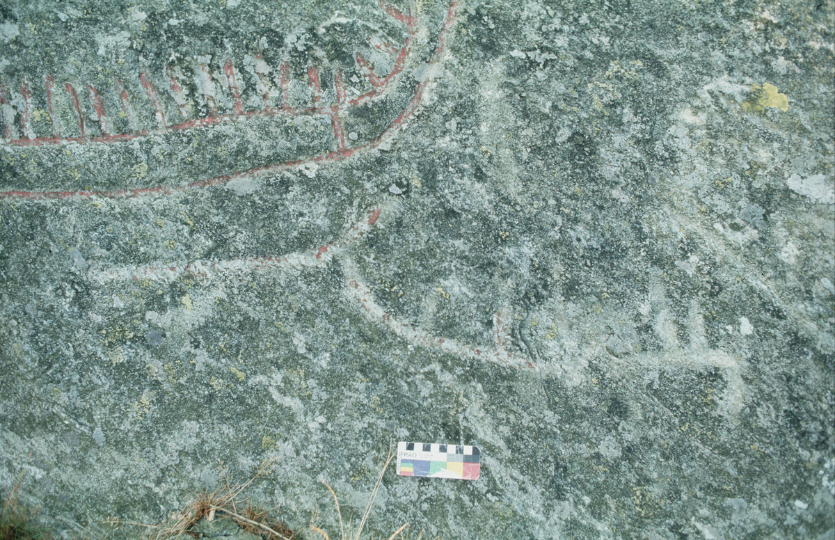 Detaljbilder av skipsfigurer på Hodnafjell etter vask og behandling med etanol.