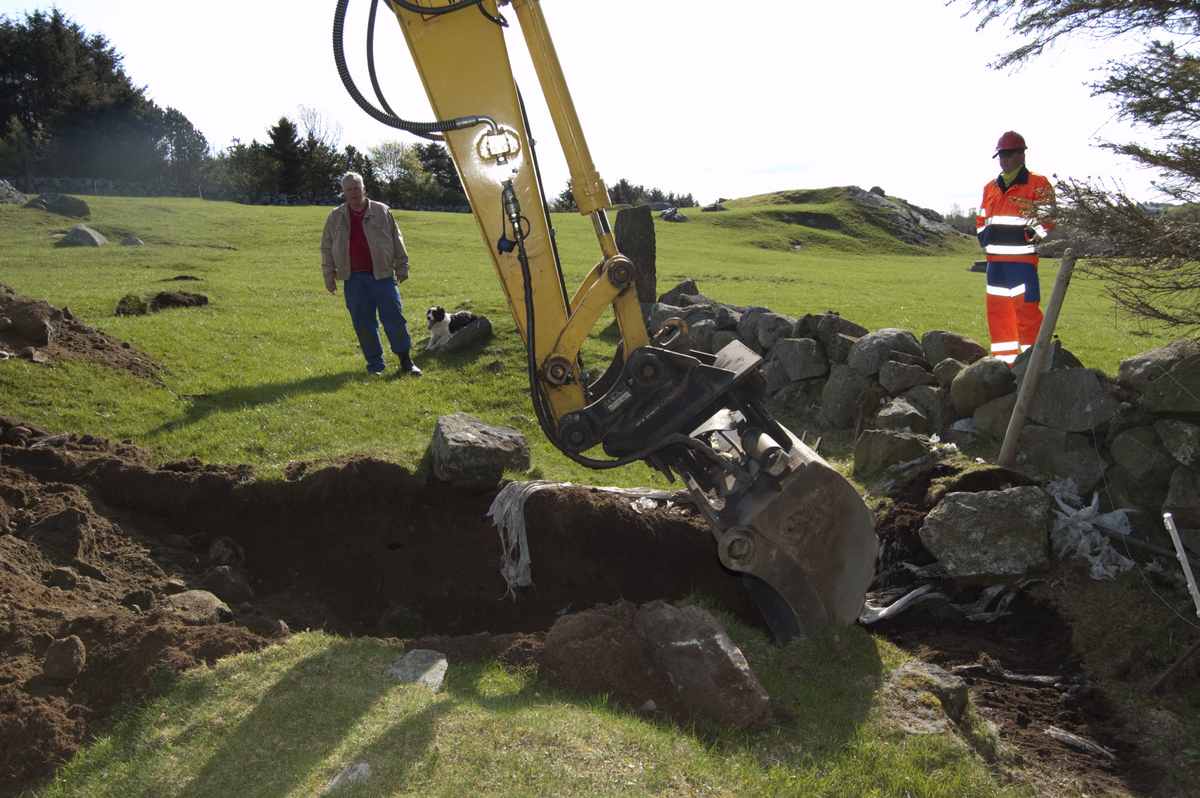 Snitting av åkerrein. S.