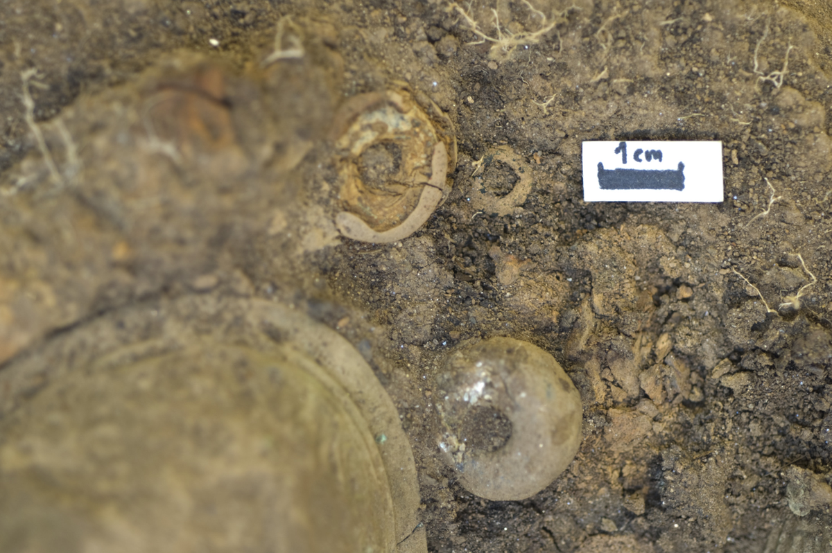 Mikroutgraving av preparat på konserveringsavdelingen, diverse gjenstander. Med målestokk.