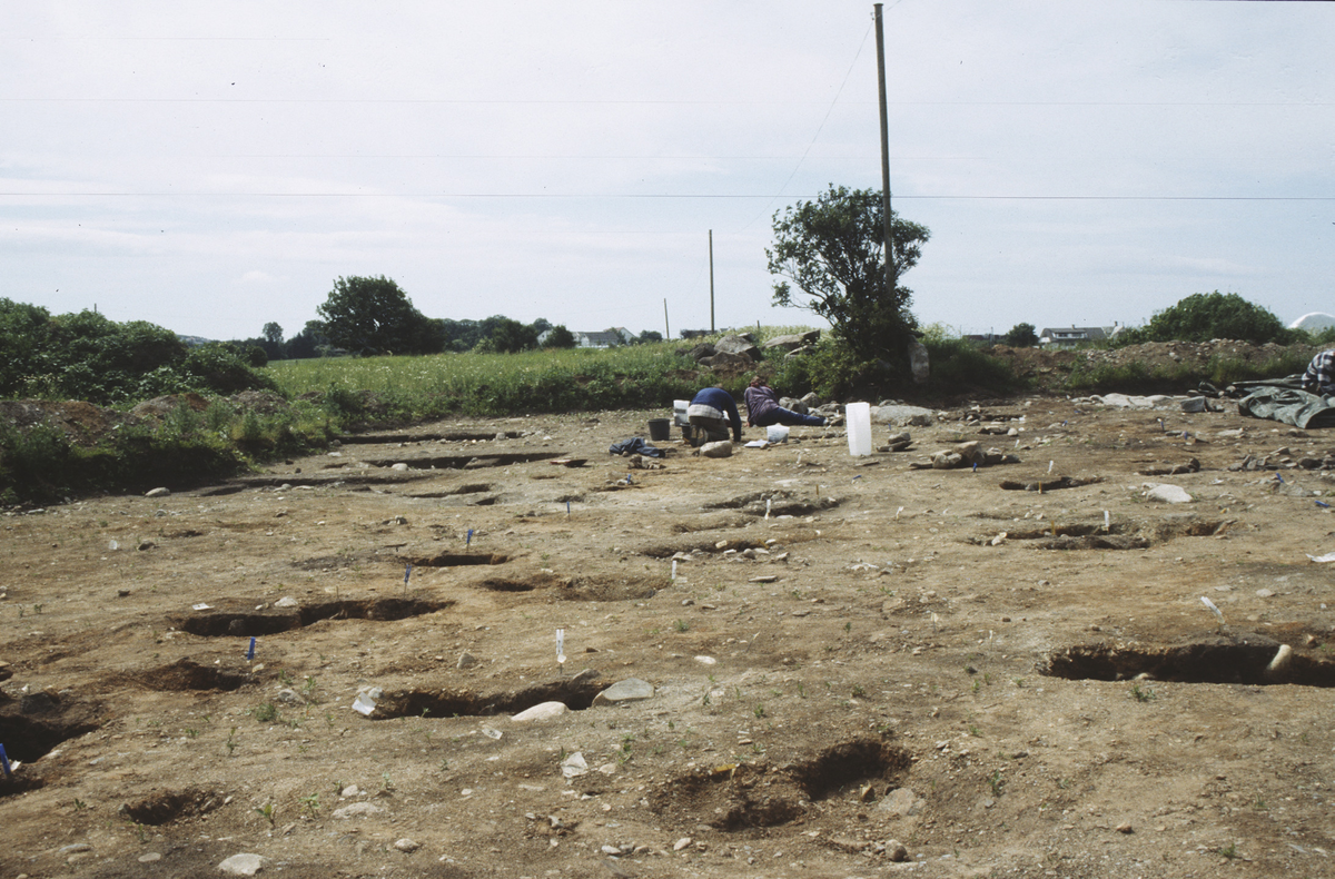 Jan Aakvik og Maiken ? snitter veggstolper i hus II i felt 1.