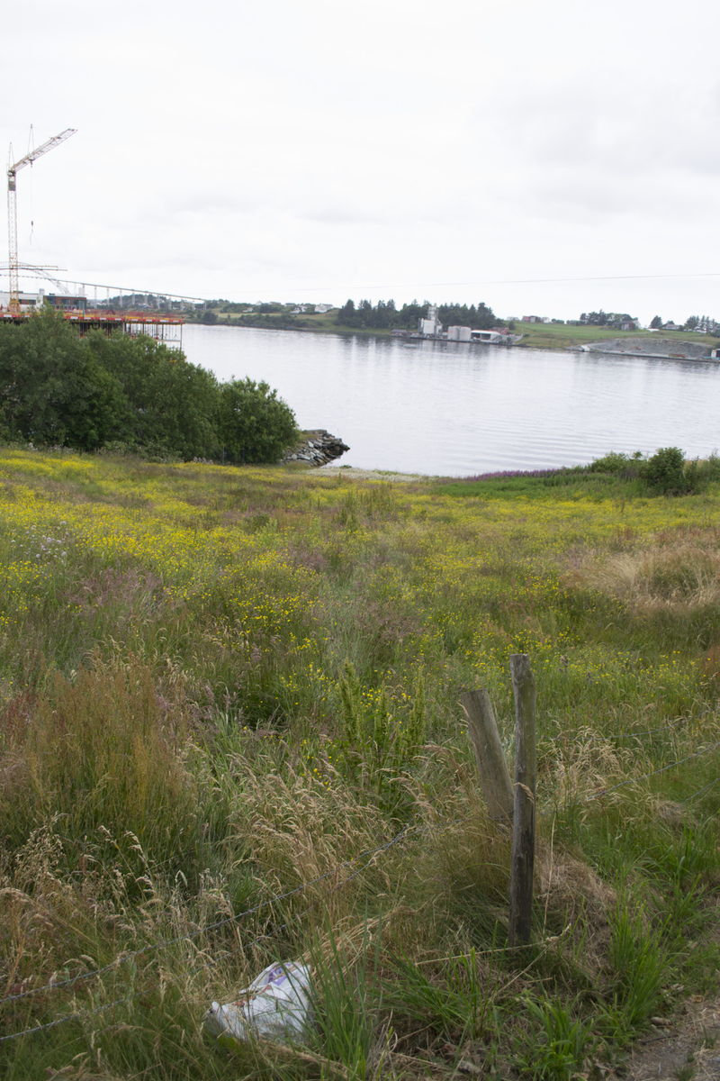 Utgravningsområdet før flateavdekking- landskapsmessig sammenheng. SV.