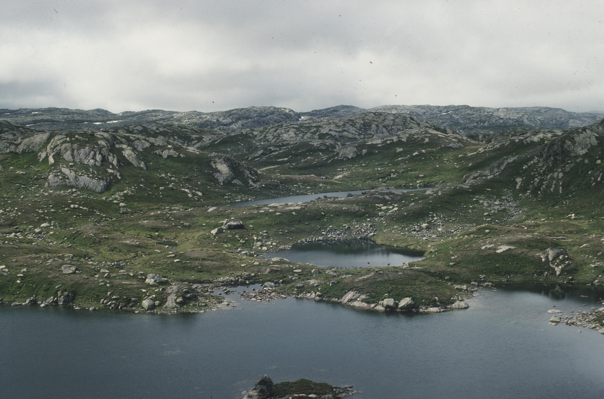 Lok. 148 før undersøkelsen. Terrengbilde fra ØSØ. 