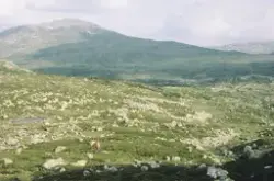 Arkeologisk museum, Universitetet i Stavanger - Foto