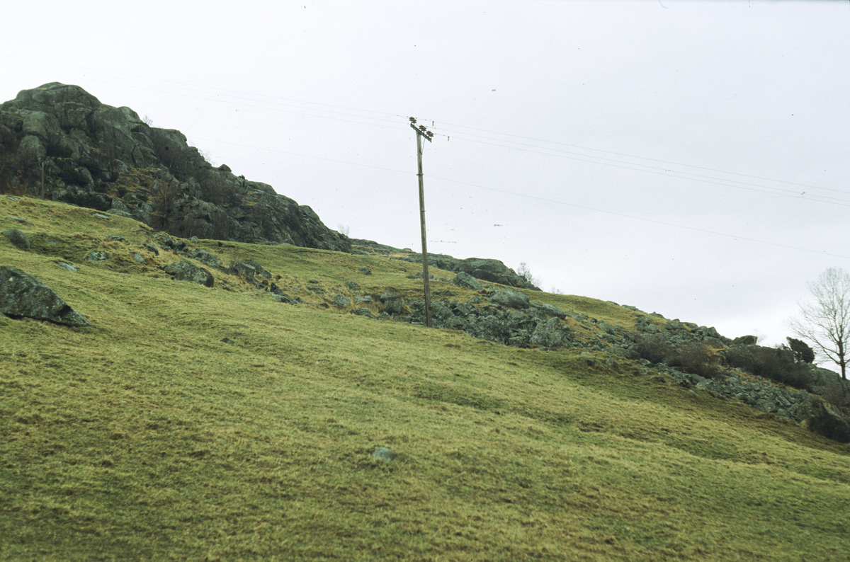 Gårdsanlegg med dyrkningsspor og åkerrein.
