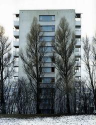 Uten tittel (Trær og hus) [Papir]