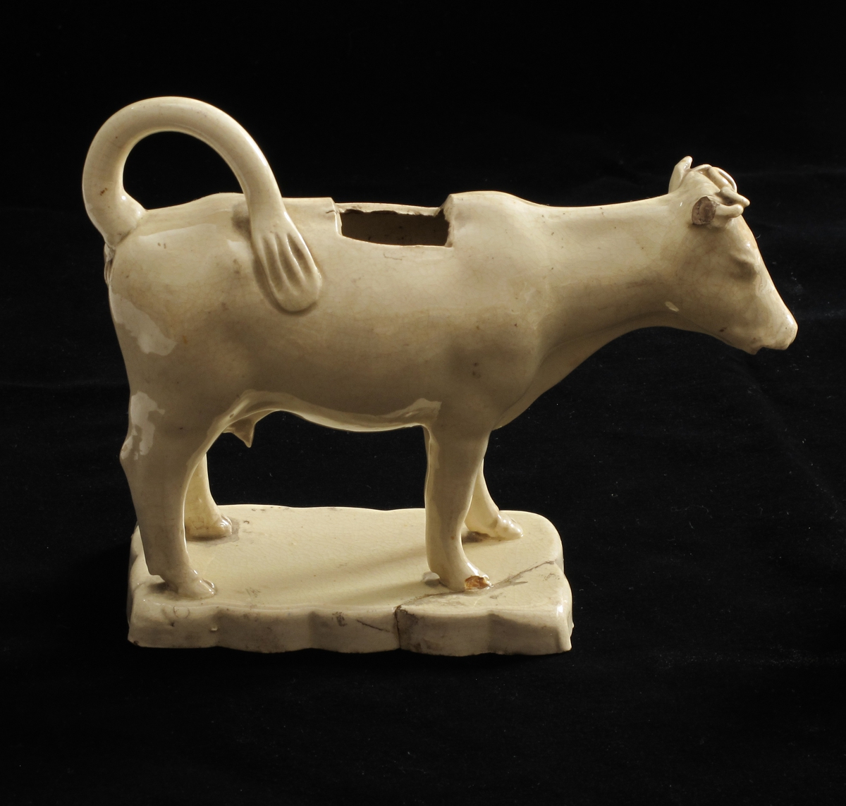 Stående ku med halen i bue