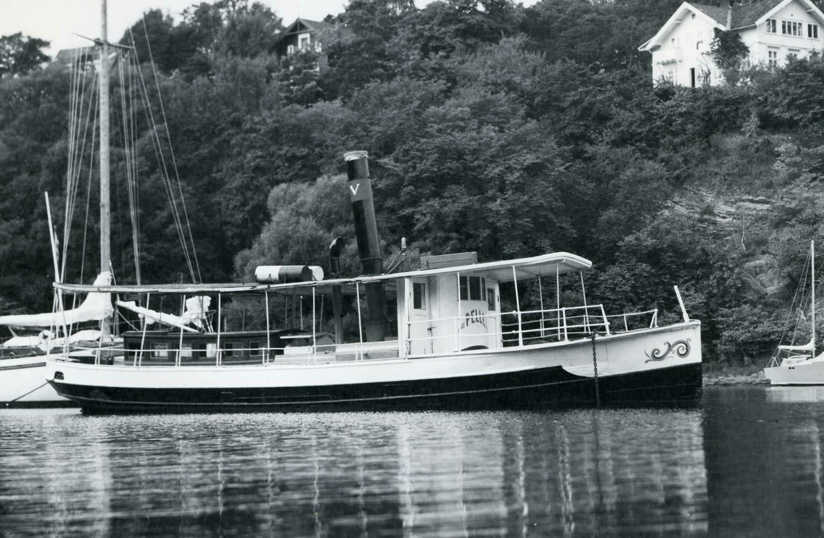 Fartøybilder fra Agder. 

Navn: D/S Pelle (ex Pippi)
Bygget ved Motala mek. Werkstad, Motala, Sverige, 1882
Hjemmehavn: Arendal 1883-1964

Bilde 1:
Arkivref: Fartøybilder 59, AAA. Neg. nr. 879, AAA jnr. 859-1966
Tekst: D/S PELLE 1947, foto Birger Dannevig, kopi Hoff 1966, gave fra Hoff 16.9 1966
Opprinnelig filreferanse i eDepoet: F0120_Fartøybilder-SMW_090507\PELLE 1947 BIRGER DANNEVIG.tif

Bilde 2:
Arkivref: Fartøybilder 59, AAA. Neg. nr. 1105, AAA jnr. 859-1966
Tekst: "PELLE" nærmer seg Merdø, foto Arendal 1956 Catherin Vincent, kopi Hoff 1966, gave fra Hoff 1966
Opprinnelig filreferanse i eDepoet: F0120_Fartøybilder-SMW_090507\PELLE ARENDAL 1956 C VINCENT.tif

Bilde 3:
Arkivref: Fartøybilder 59, AAA jnr. 712-1966
Tekst: D/S "PELLE", foto ved Arne Lannerstedt i Langviken på Bygdø i Oslo sept. 1966, i bakgrunnen skibsmegler Salvesens lystbåt "Sjøfrøken"
Opprinnelig filreferanse i eDepoet: F0120_Fartøybilder-SMW_090507\PELLE FOTO ARNE LANNERSTEDT I LANGVIKEN BYGDØ SEPT 1966.tif

Bilde 4:
Arkivref: Fartøybilder 59, AAA. Neg.nr. 880, AAA jnr. 859-1966
Tekst: D/S "PELLE", Arendalsfjorden fra Torjusholmen 1956, foto Birger Dannevig, kopi Hoff 1966
Opprinnelig filreferanse i eDepoet: F0120_Fartøybilder-SMW_090507\PELLE FRA TORJUSHOLMEN 1956 BIRGER DANNEVIG.tif

Bilde 5:
Arkivref: Fartøybilder 59, AAA jnr. 712 - 1966, jfr. 143-1970, 462-1969
Gave fra Arne Lannerstedt, Oslo
Opprinnelig filreferanse i eDepoet: F0120_Fartøybilder-SMW_090507\PELLE GIMLE.tif

Bilde 6:
Arkivref: Fartøybilder 59
Opprinnelig filreferanse i eDepoet: F0120_Fartøybilder-SMW_090507\PELLE III.tif

Bilde 7:
Arkivref: Fartøybilder 59,  AAA jnr. 311-1967
Tekst: PELLE ut fra Pollen i Arendal, ved Langbrygga ADLER.
Opprinnelig filreferanse i eDepoet: F0120_Fartøybilder-SMW_090507\X.tif

Bilde 8:
Arkivref: : Fartøybilder 59
Tekst: : Pelle og Kronprinsesse Martha
Opprinnelig filreferanse i eDepoet: F0120_Fartøybilder-SMW_090507\X.tif

Bilde 9:
Arkivref: Fartøybilder 59,  AAA jnr. 697-1970
Tekst: Fra venstre: 1. "Pelle", 2. "Tromøya", ved Langbrygga, Arendal. Foto Birger Dannevig 1947
Opprinnelig filreferanse i eDepoet: F0120_Fartøybilder-SMW_090507\X.tif

Bilde 10:
Arkivref: Fartøybilder 59, AAA jnr. 441 - 1964
Gimle, Hisø pr. Arendal
Opprinnelig filreferanse i eDepoet: F0120_Fartøybilder-SMW_090507\X.tif