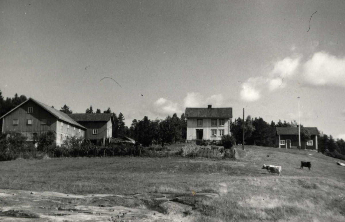 Åmlibilder

