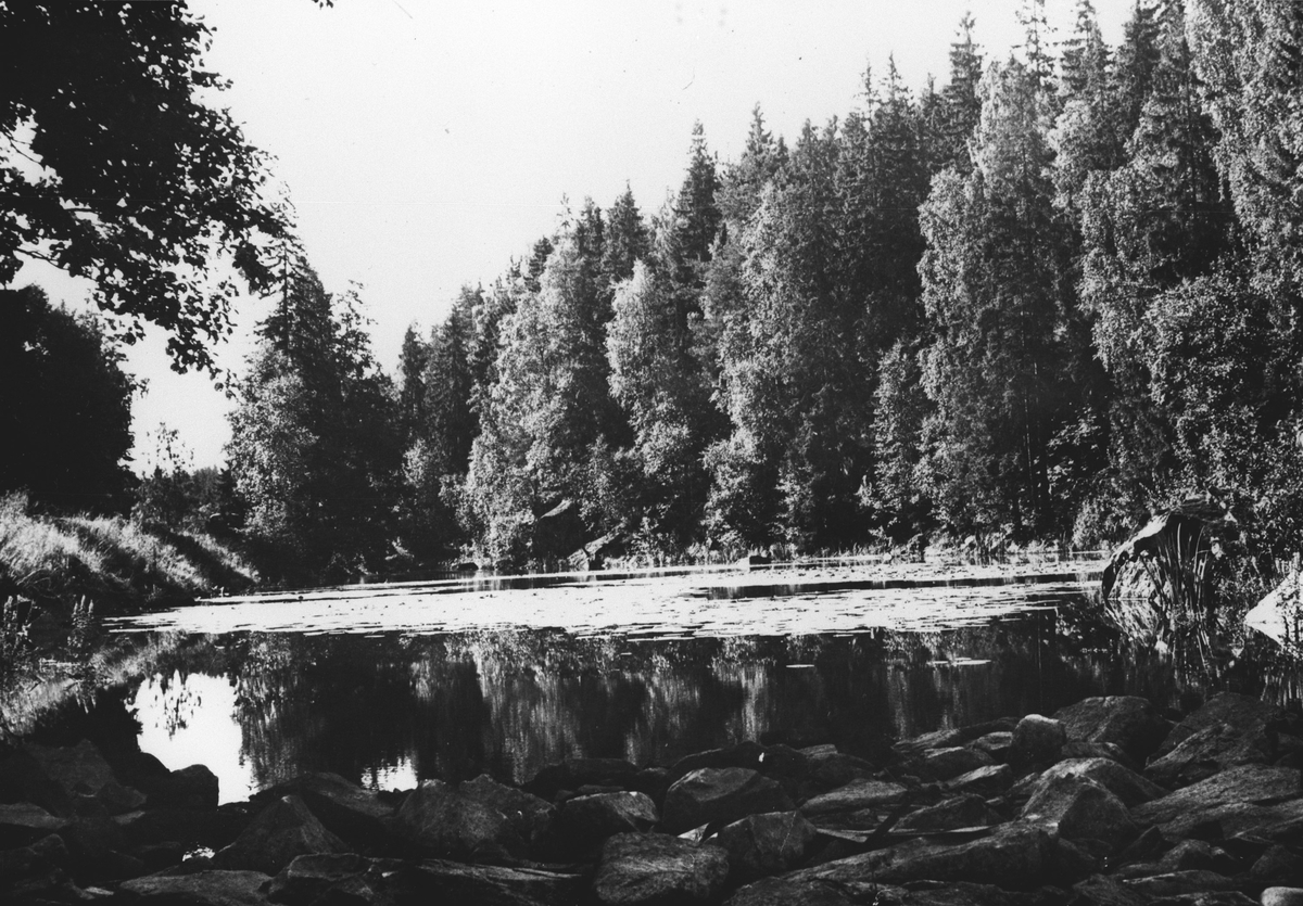 Gjersjøelva om sommeren