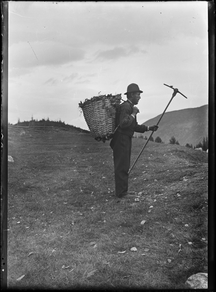 Utsikt over Hallingdal.