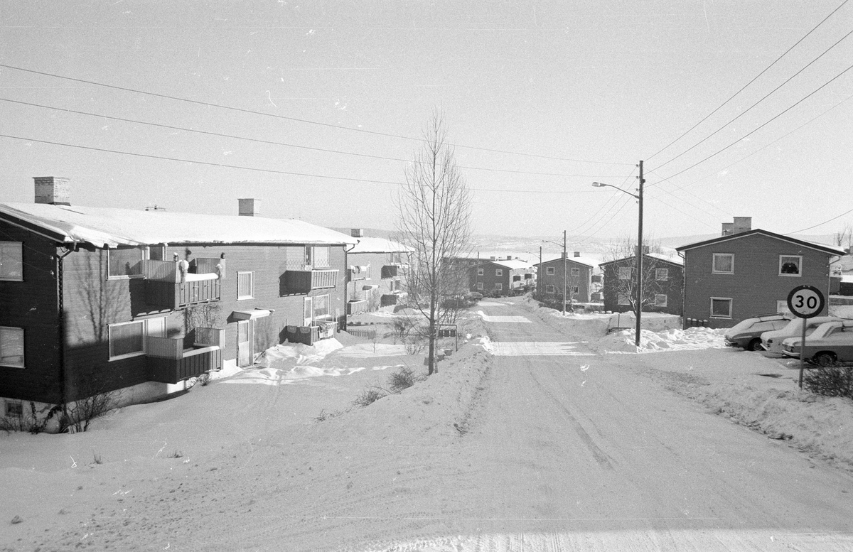 Aamodtalléen Småhus, vinter, veg