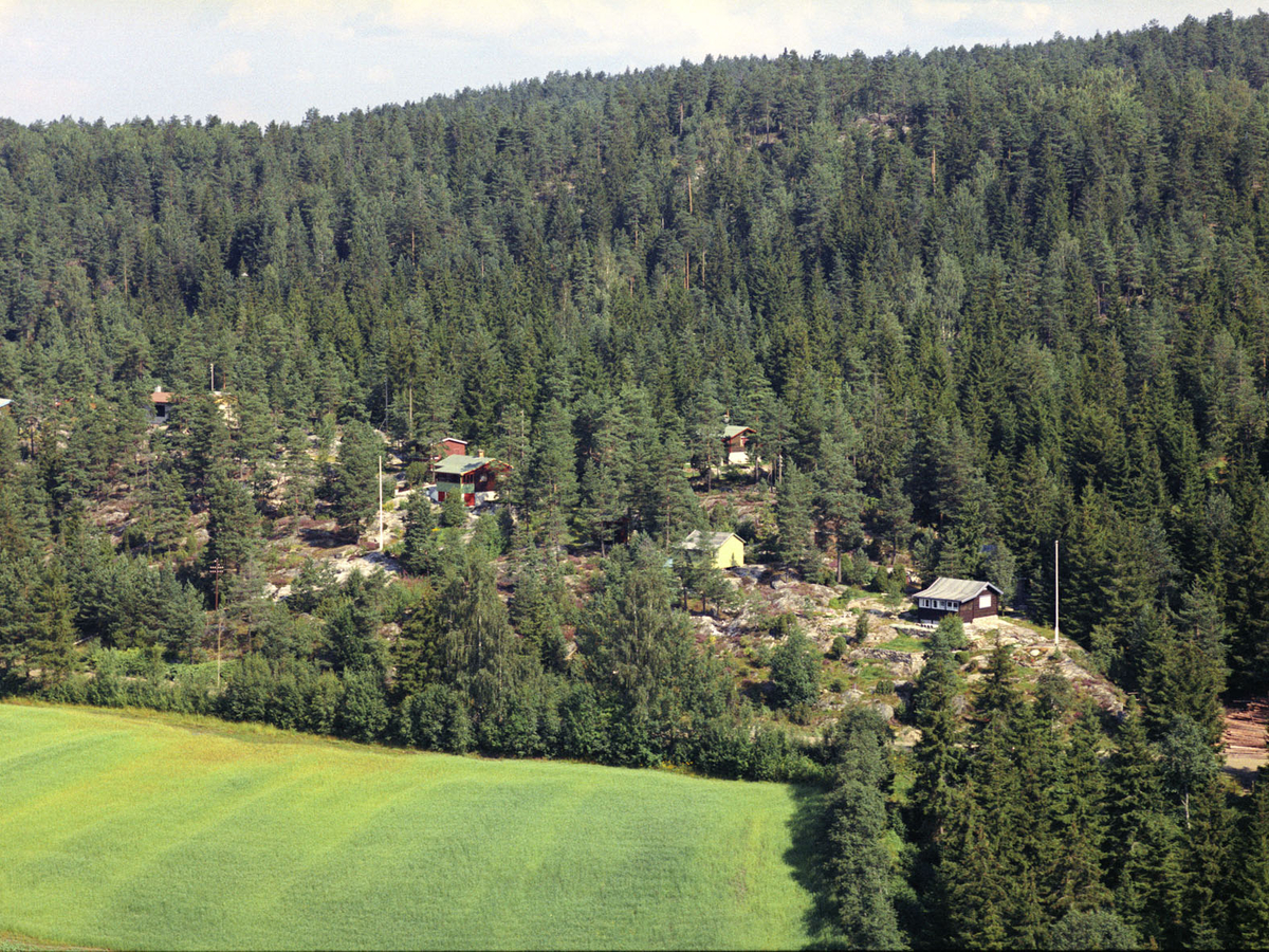 ENEBAKKNESET LANDSKAP