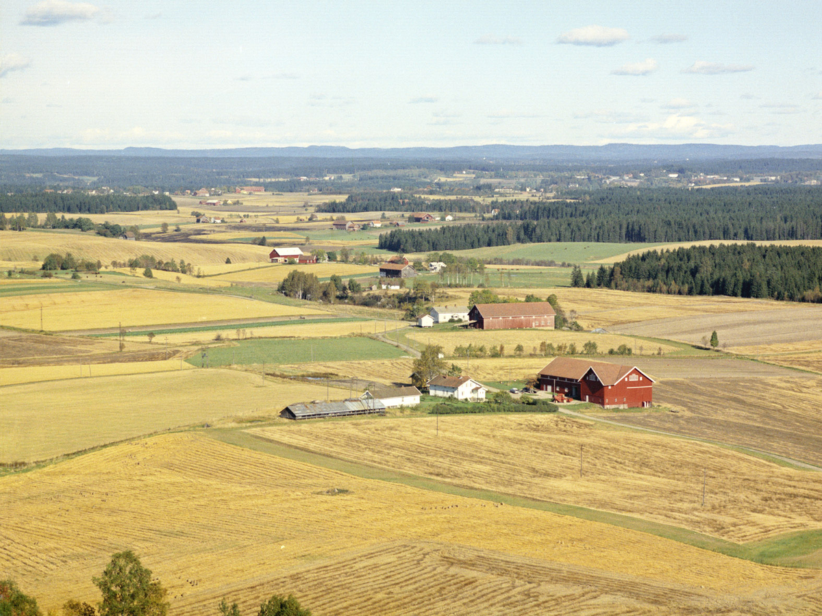 PYTH GÅRD, HAUGEN I BAKGRUNNEN