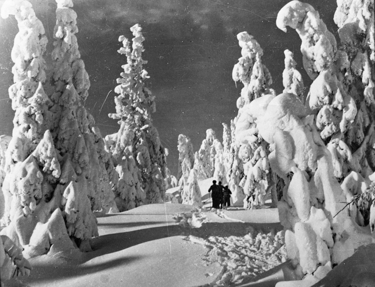 Vinterlandskap.