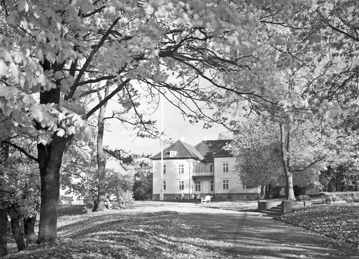 Eidsvollbygningen.