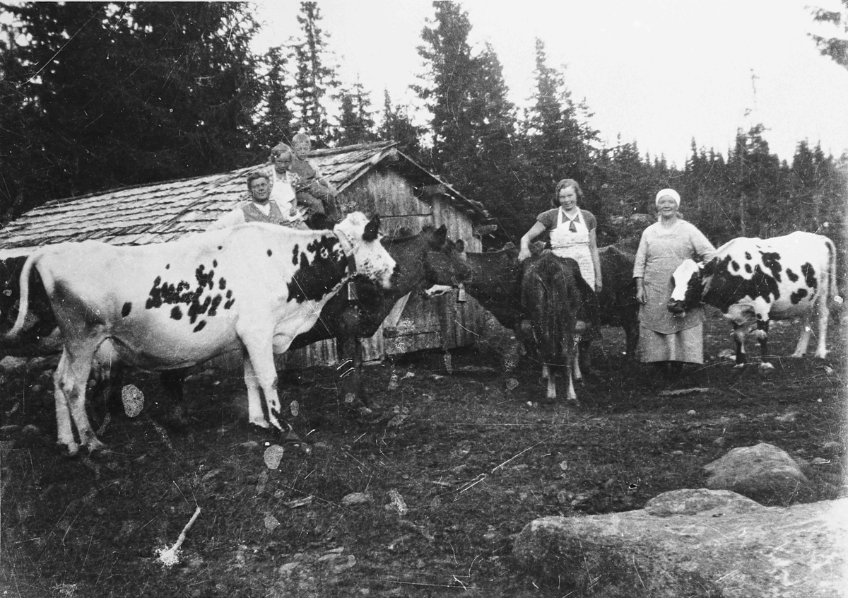 Gårdsdrift, jordbruk.
