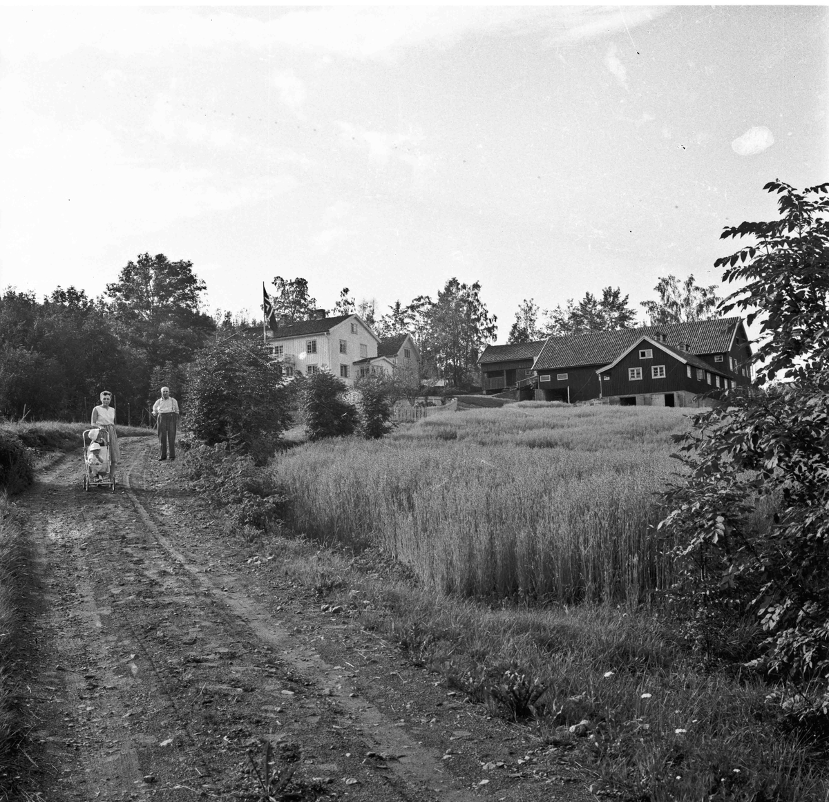 Gårdsbruk