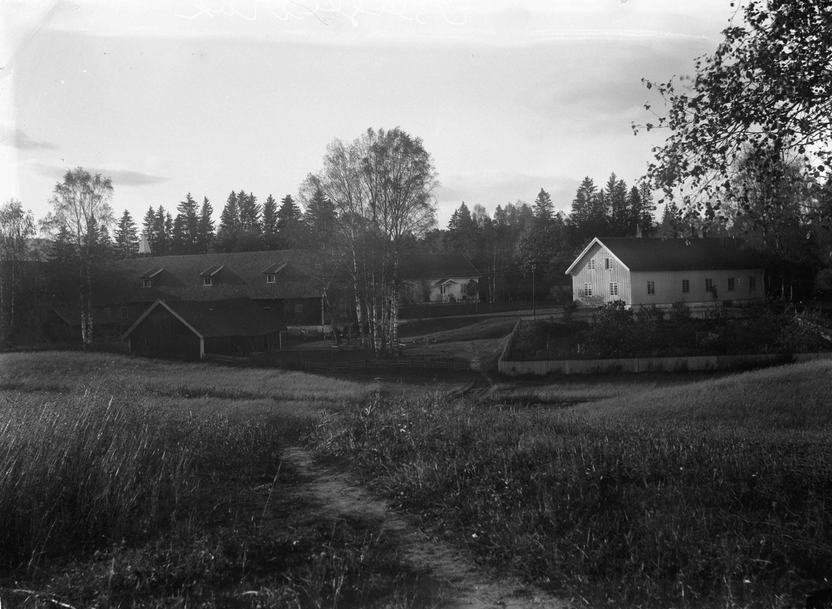 Gårdsbruk