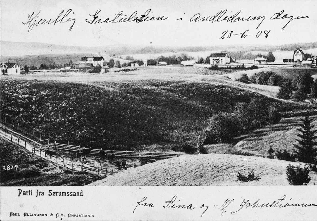 Postkort "Parti fra Sørumssand". Sørumsand stasjon t.h.