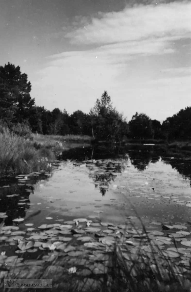 "utflukt til Romsdalsmuseet sommeren 1941".