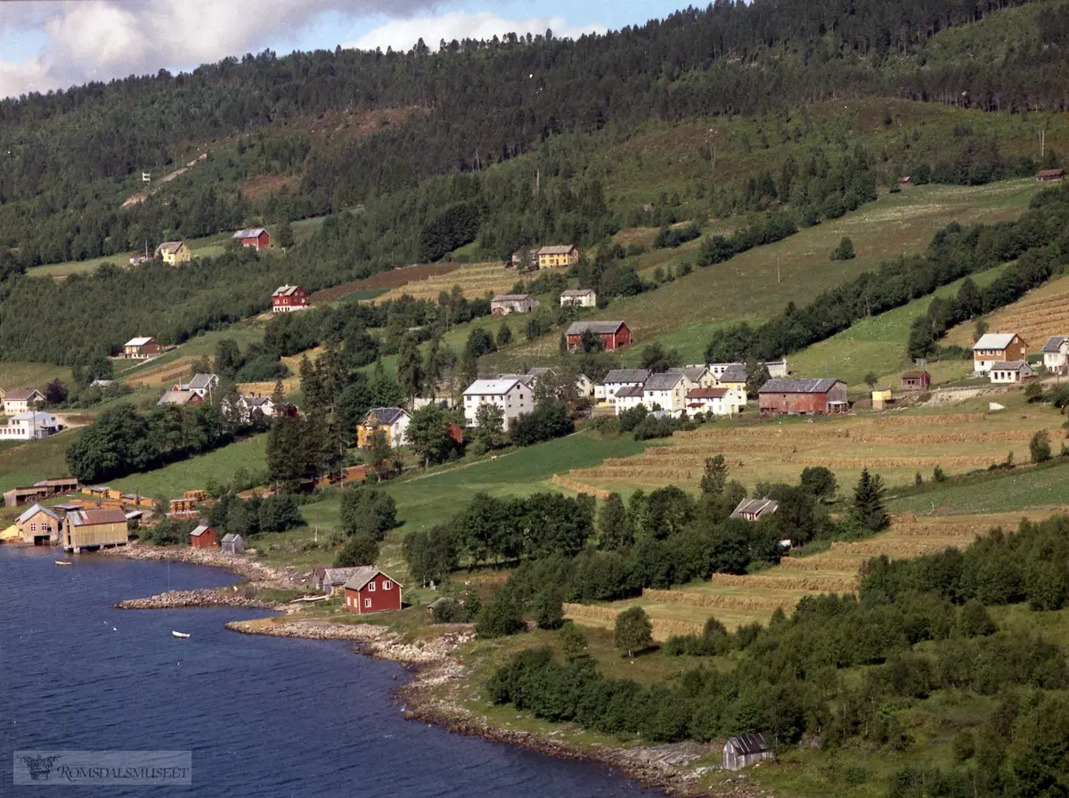 Næss, Borghild